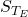 S_{T_E}