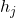  h_{j} 